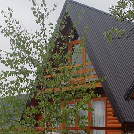 Villa Wood Borje Žabljak Zewnętrze zdjęcie